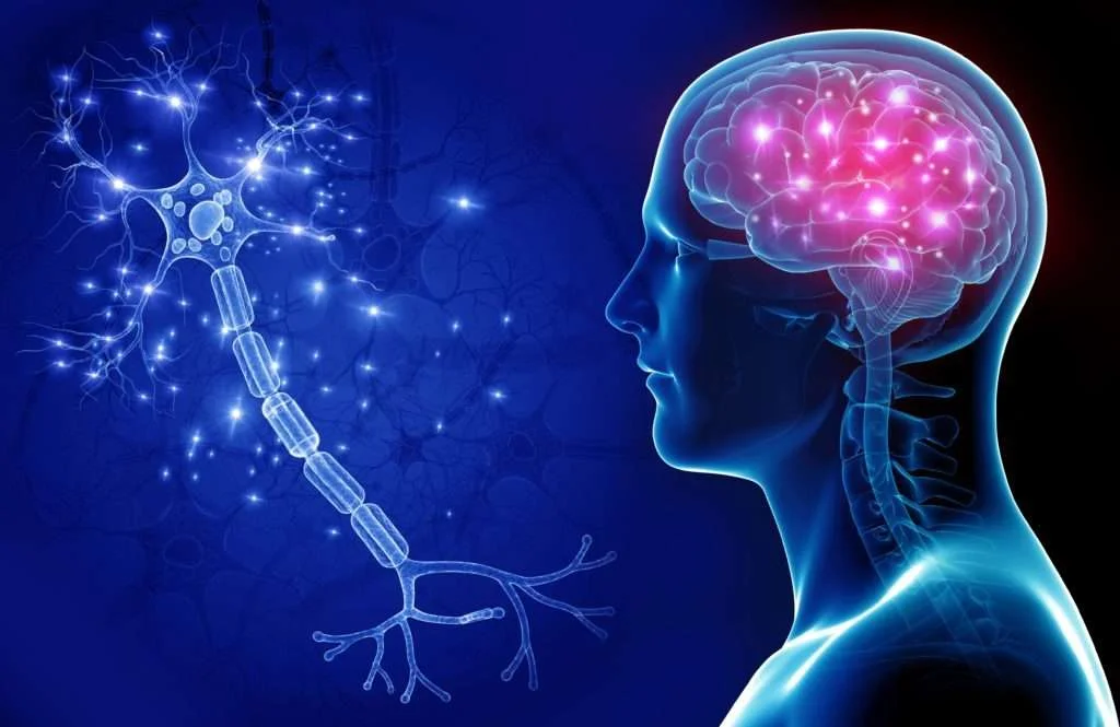 Neurology Image